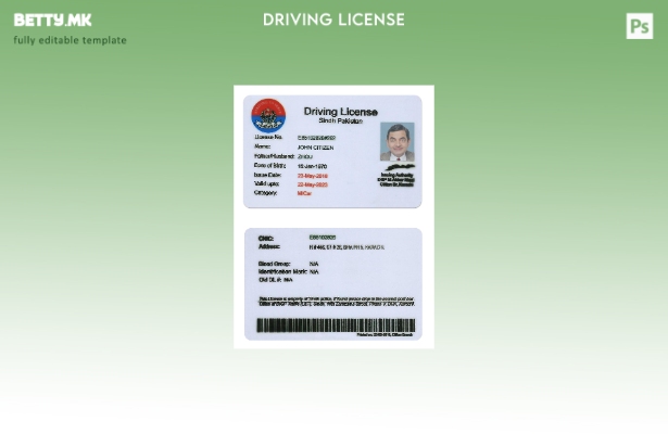 Модерен стил на шаблон за возење во провинцијата Пакистан Синд (стара верзија до